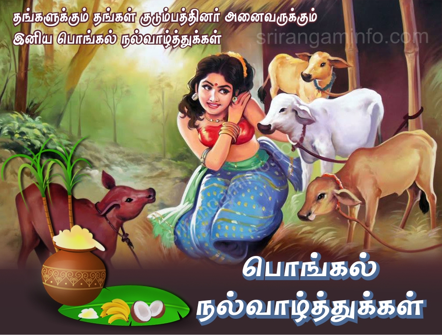 Pongal greeting village girl cow